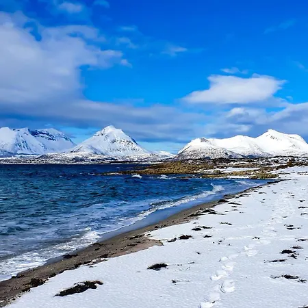 Apartment Arctic Wonderland *