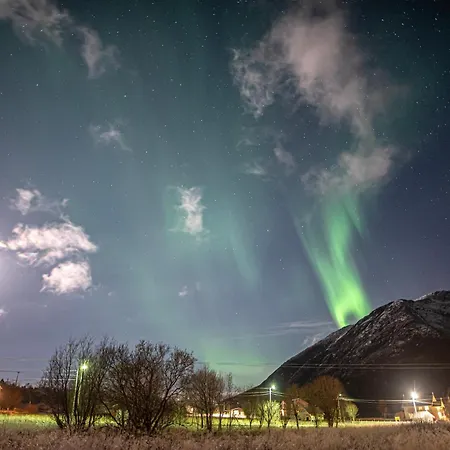Apartment Arctic Wonderland