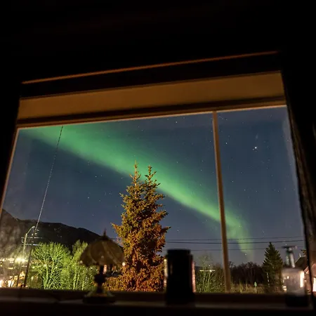 Apartment Arctic Wonderland *