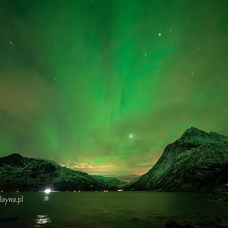 Arctic Wonderland * Senja
