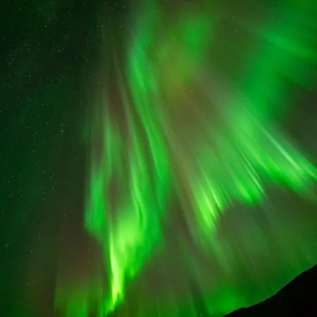 Arctic Wonderland Apartamento Senja