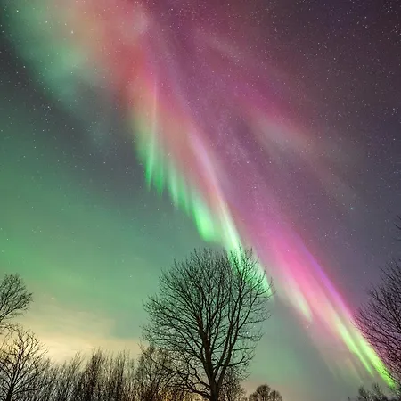 Arctic Wonderland Apartamento Senja