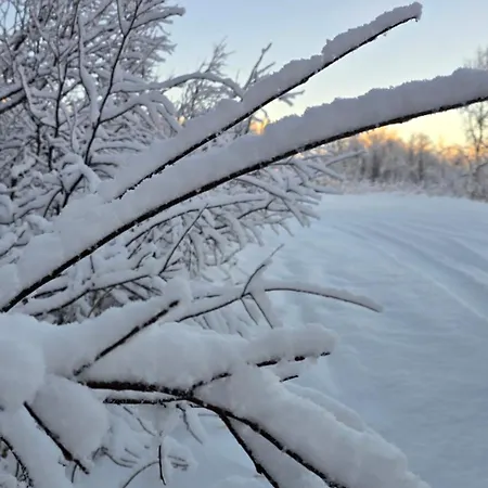 Arctic Wonderland * Senja