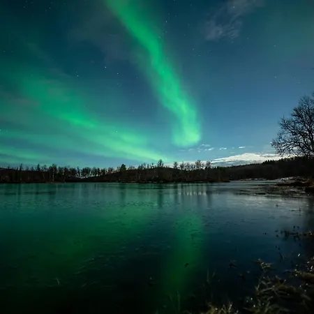 Arctic Wonderland * Senja