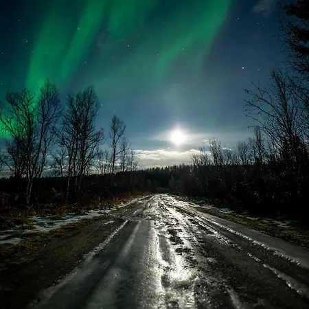 Arctic Wonderland * Senja