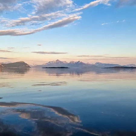Arctic Wonderland *