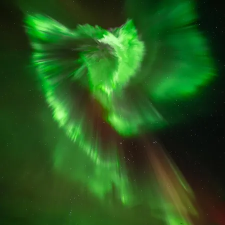 شقة Arctic Wonderland Senja